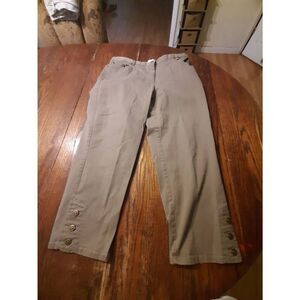 Size 14 Ruby Rd Brown Flat Front Elastic Side Waist Ankle Pants with Detail